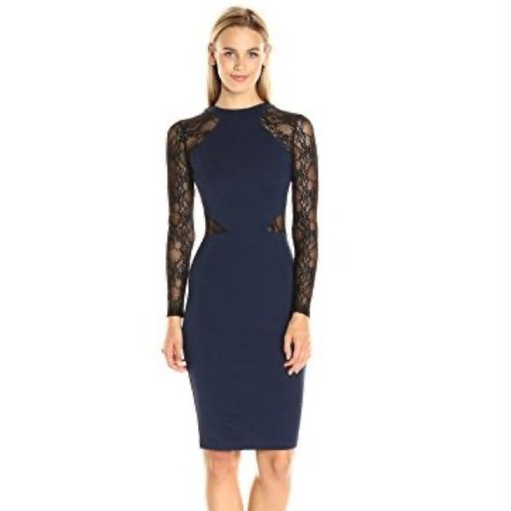 NWT French Connection Lace Bodycon Dress